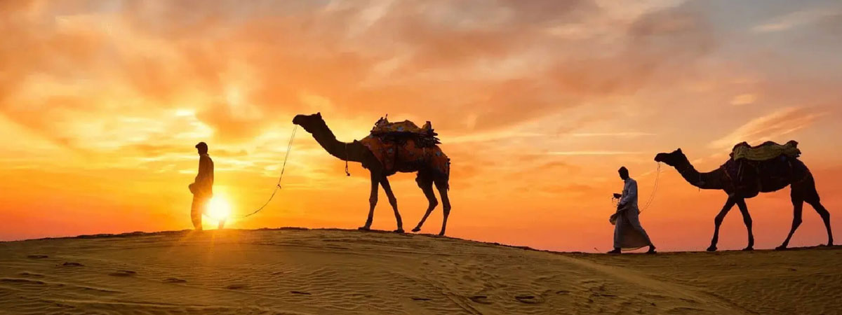 10-Day Rajasthan Wildlife & Heritage Tour With Private Car & English-Speaking Driver